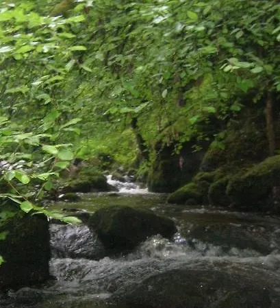 Vieux Moulin Des Charmelles